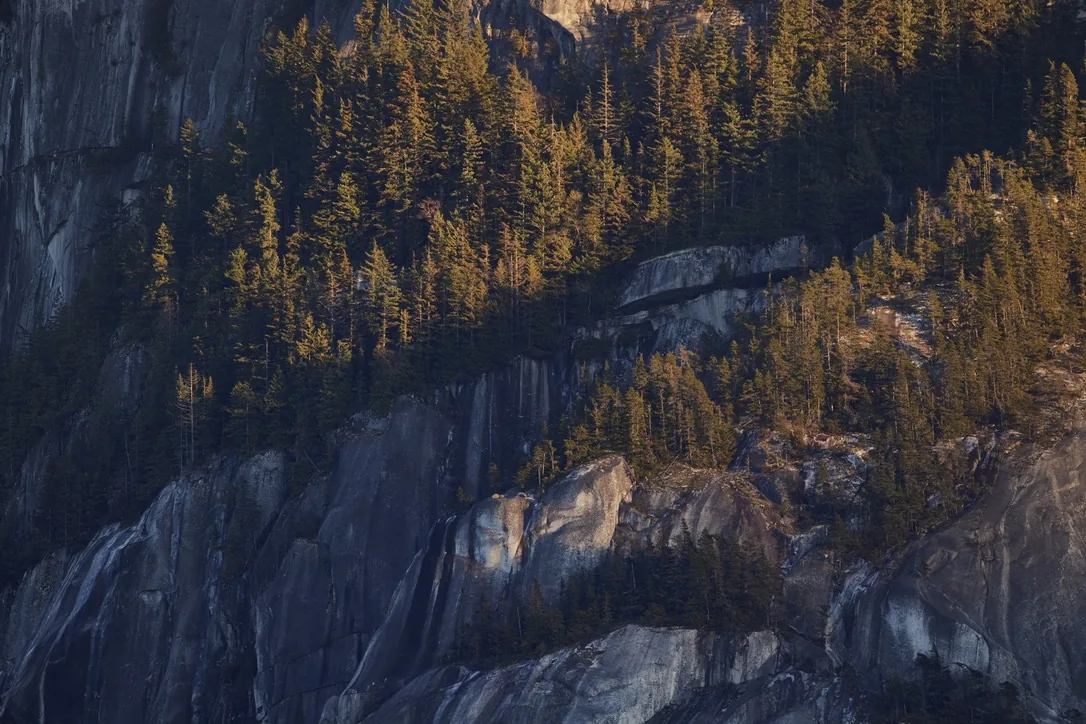 Canadian Landscapes